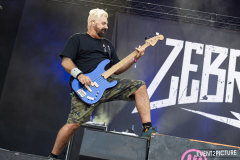 Zebrahead_DB2024-DSC_7591-20240720