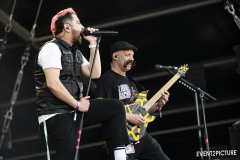 Zebrahead_DB2024-DSC_7696-20240720