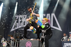 Zebrahead_553