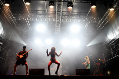 The-Baboon-Show-2