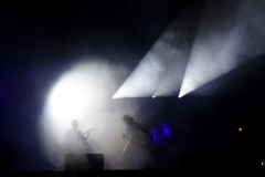 The-Baboon-Show-3