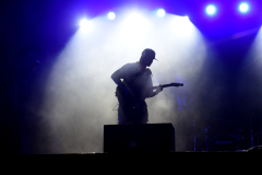 The-Baboon-Show-5
