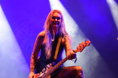 The-Baboon-Show-7