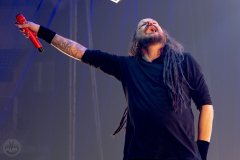 20250603_Korn_H-14