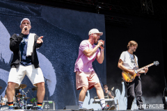 Irie_Revoltes-Hur2025-21.-Juni-2025-DSC_3170