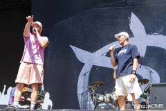 Irie_Revoltes-Hur2025-21.-Juni-2025-DSC_3194