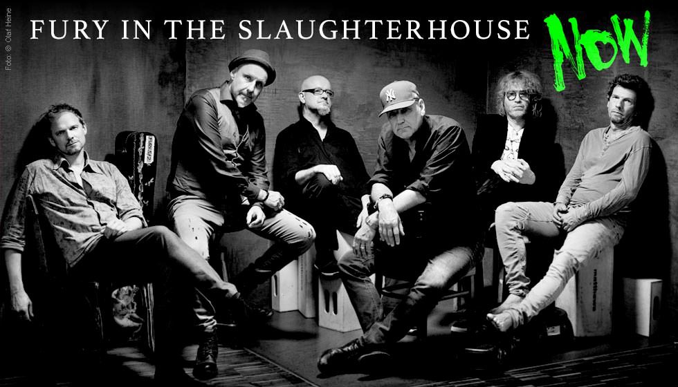 Fury in the Slaughterhouse - NOW - Foto: Olaf Heine