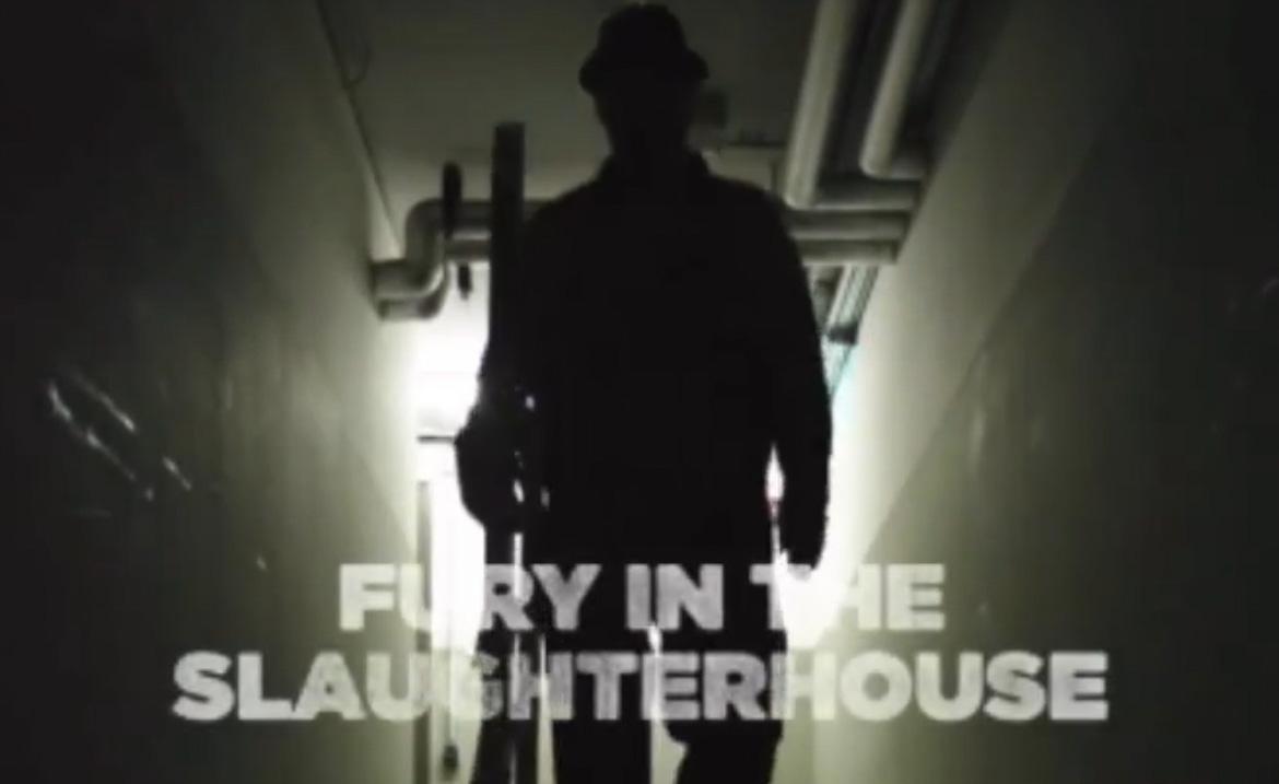 Fury in the Slaughterhouse - H.LIVE